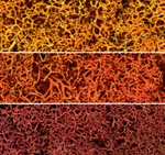 Woodland Scenics L165 Lichen Bag, Autumn Mix (82 Cu. In.). Fixed Price $13.99.