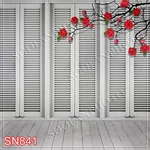 Indoor 10'X10' Computer/digital Scenic Photo Background Backdrop SN841B881. Fixed Price $59.99.