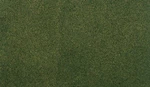Woodland Scenics X 50 Forest Grass Mat RG5133. Fixed Price $18.99.