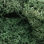 Woodland Scenics L162 Light Green Lichen 48 Oz. Bag. Fixed Price $15.99.