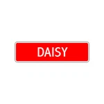 Daisy Street Sign Room Home Wall Cor Children's Name Gift Aluminum Metal Plate. Fixed Price $17.99.