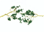 Bachmann Scenescapes Wire Foliage Branches Dark Green 1 3IN Long PKG(60) 32646. Fixed Price $13.98.