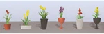 Jtt Assorted Potted Flower Plants Set #2 PKG(6) 95568. Fixed Price $14.98.