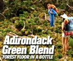 Scenic Express Flock & Turf Foams Ground Texture 32OZ 907G Green EX897B. Fixed Price $24.98.
