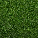 Bachmann Industries 32903 Grass Mat - Meadow For Use All Scales 100. Fixed Price $70.29.