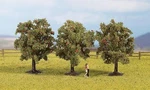 NOCH,3 Apple Trees - 8 Cm, NOC25113. Fixed Price $18.00.