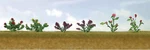 Jtt Assorted Flower Plants Set #1 PKG(10) 05-95558. Fixed Price $14.98.