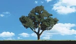 Woodland Scenics TR3547 0.75" - 1.25" Cool Shade Deciduous Trees (pack Of 8). Fixed Price $11.69.
