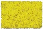 Scenic Express EX873B Coarse Aspen Yellow Flock & Turf - 32 Oz. Shaker. Fixed Price $19.48.