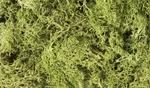 Woodland Scenics New 2025 Lichen Light Green 86.6 Cubic Inches L162. Fixed Price $13.54.