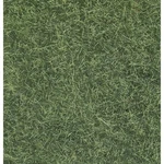 Noch 7102 Wild Grass Light Green. Fixed Price $30.86.
