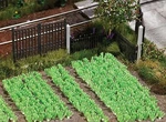 Walthers Scenemaster Ho Vegetable Garden Kit 949-1110. Fixed Price $43.98.
