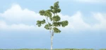 Woodland Scenics Paper Birch Each: 4IN Built Premium Trees Deciduous TR1616. Fixed Price $16.98.