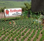 Busch 1265 Ho Scale Strawberry Plants -- Kit PKG(40). Fixed Price $21.99.