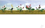 Jtt Assorted Flower Plants - Set #2 Ho Scale Model Railroad #95561. Fixed Price $10.12.