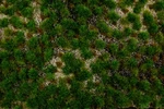 Bachmann Scenescapes 32924 Western Range Tufted Grass Mat (11.75" X 7.5" Sheet). Fixed Price $25.99.