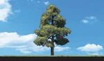 Woodland Scenics TR3501 0.75" - 1.25" Sun Kissed Deciduous Trees (pack Of 8). Fixed Price $11.94.