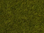 Noch 07100 Wild Static Grass "meadow" - 6MM (50G). Fixed Price $11.99.