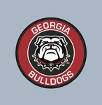 Car Magnet - Georgia Bulldogs College Football Ncaa. Fixed Price $7.50.