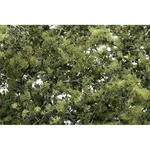Woodland Scenics Fine Leaf Foliage Olive GREEN/75 Cu. In. WOOF1133 Train Scenery. Fixed Price $26.98.