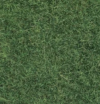 Noch 7102 All Scale Wild Grass 1-3/4OZ 50G -- Light Green. Fixed Price $17.99.