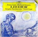 Dgg Digital 1987 Liszt Richard Strauss Fassbaender Lieder Gage 419 238-1 Nm. Fixed Price $15.65.