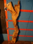 #A1160 1/4" Thick Kiln Dried Black Line Spalted Box Elder Slab Shelf Table. Fixed Price $48.00.