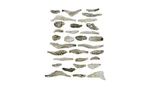 Ho Ready Rocks, Creek Bed By Woodland Scenics #WOO-C1141. Fixed Price $21.99.