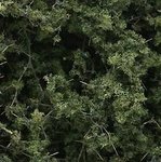 Woodland Scenics 1131 All Scale Fine Leaf Foliage(tm) - 75 Cu. In. Medium Green. Fixed Price $21.99.