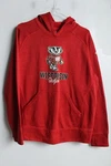 Wisconsin Badger American Football Youth Hoodie - Age 16 (A15). Fixed Price $12.17.