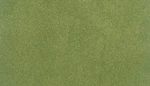 Woodland Scenics RG5121 50" X 100" Grass Mat Spring. Fixed Price $37.99.