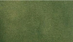 Woodland Scenics RG5172 Readygrass 25" X 33" Small Roll Green Vinyl Mat. Fixed Price $13.99.
