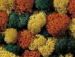 Noch,autumn Moss 35G, NOC08630. Fixed Price $6.90.
