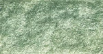 Woodland Scenics FL634 - Flock Light Green 57.7 In (945 Cm ) Shaker. Fixed Price $12.99.