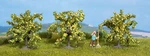 NOCH,3 Lemon Trees 4 Cm, NOC25115. Fixed Price $15.21.