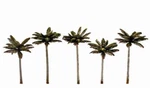 Woodland Scenics New 2024 Small Palm Trees Pieces 3" - 3/4" TR3597. Fixed Price $25.04.