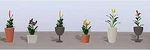 Jtt Assorted Potted Flower Plants - Set #4 Scale Model Railroad. Fixed Price $10.12.