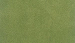 Woodland Scenics RG5171 Spring Grass Small Roll 25" X 33". Fixed Price $11.70.