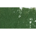 Woodland Scenics Foliage/dark Green F53. Fixed Price $5.45.