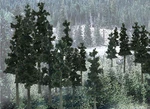 Woodland Scenics TR1580 Value Trees, Conifer 2.25-4" (33). Fixed Price $34.99.