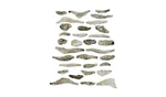 Woodland Scenics C1141 Creek Bed Ready Rocks. Fixed Price $21.69.