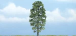 Woodland Scenics TR1618 4" Basswood. Fixed Price $17.69.