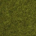 Noch 7100 Wild Grass Kl Lawn. Fixed Price $30.00.