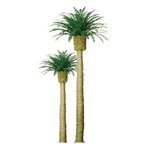 Jtt Scenery 94355 Scale Professional Trees Phoenix Palm 4'' (2). Fixed Price $25.69.