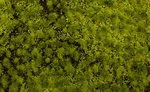 Bachmann Scenescapes 32921 Light Green Tufted Grass Mat (11.75" X 7.5" Sheet). Fixed Price $25.99.