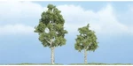 Woodland Scenics TR1612 4" Paper Birch (2). Fixed Price $15.69.