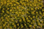 Bachmann Industries Scenescapes Tufted Dry Grass Mat. Fixed Price $39.89.