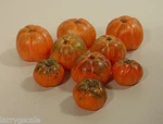 Premium Pumpkins Set (9 Pcs) Custom Miniatures 1/24 Scale G Scl Diorama Items. Fixed Price $16.99.