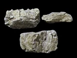 Woodland Scenics C1234 Rock Mold - Random. Fixed Price $8.99.