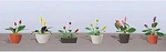 Jtt Assorted Potted Flower Plants - Set #3 Ho Scale Model Railroad. Fixed Price $12.51.